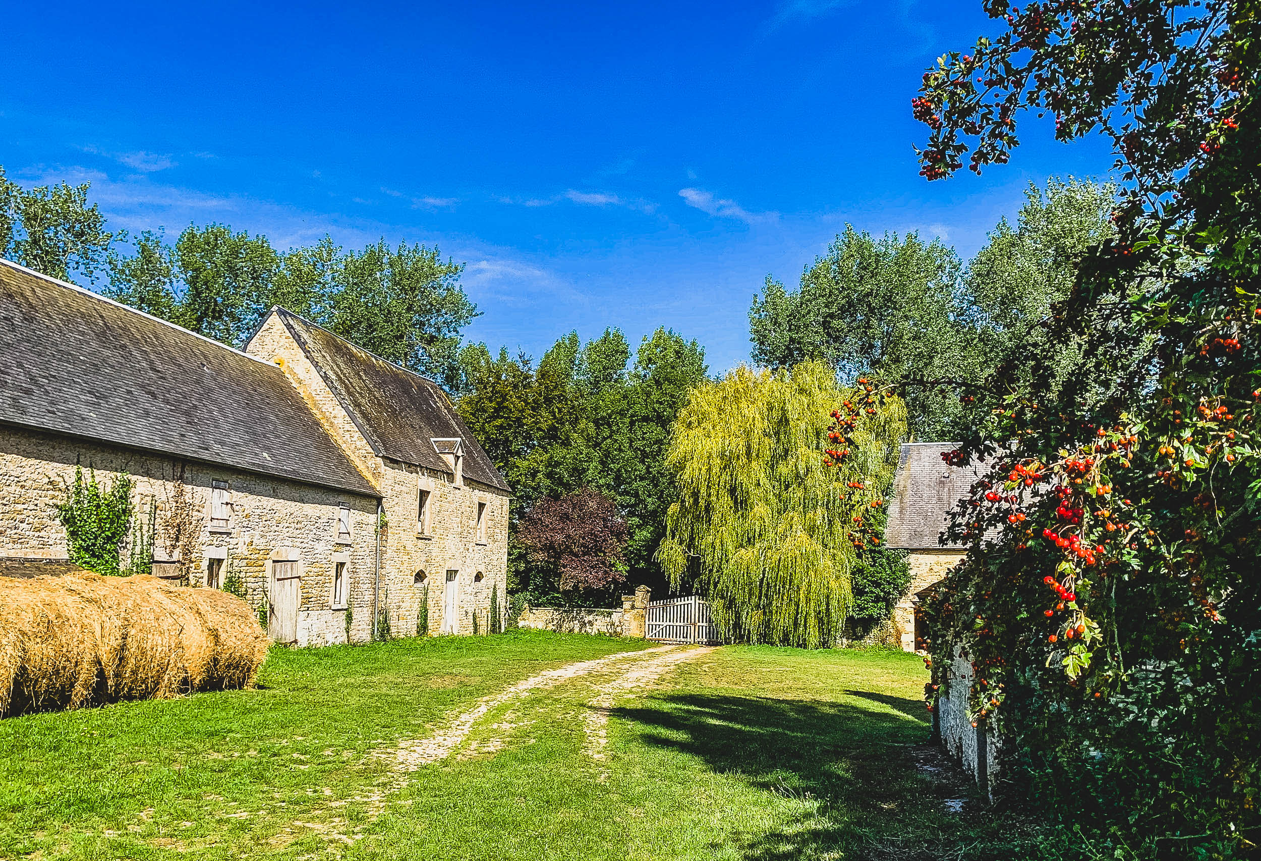 Reasons to Visit Normandy, France