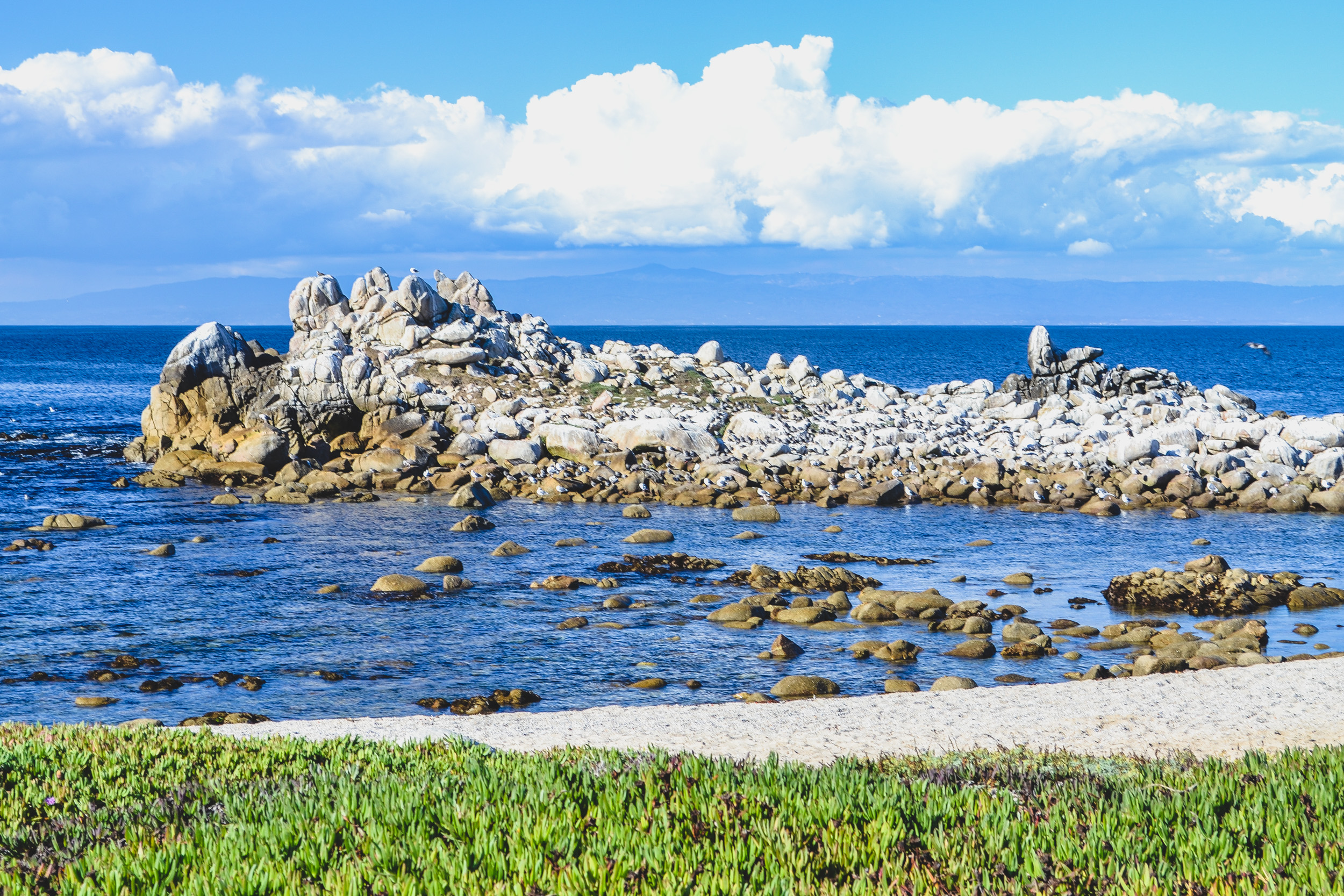 Enjoy California’s Coastline at the Monterey Peninsula