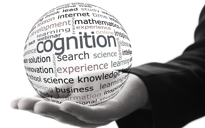 How Embodied is Your Cognition? What is Principle?