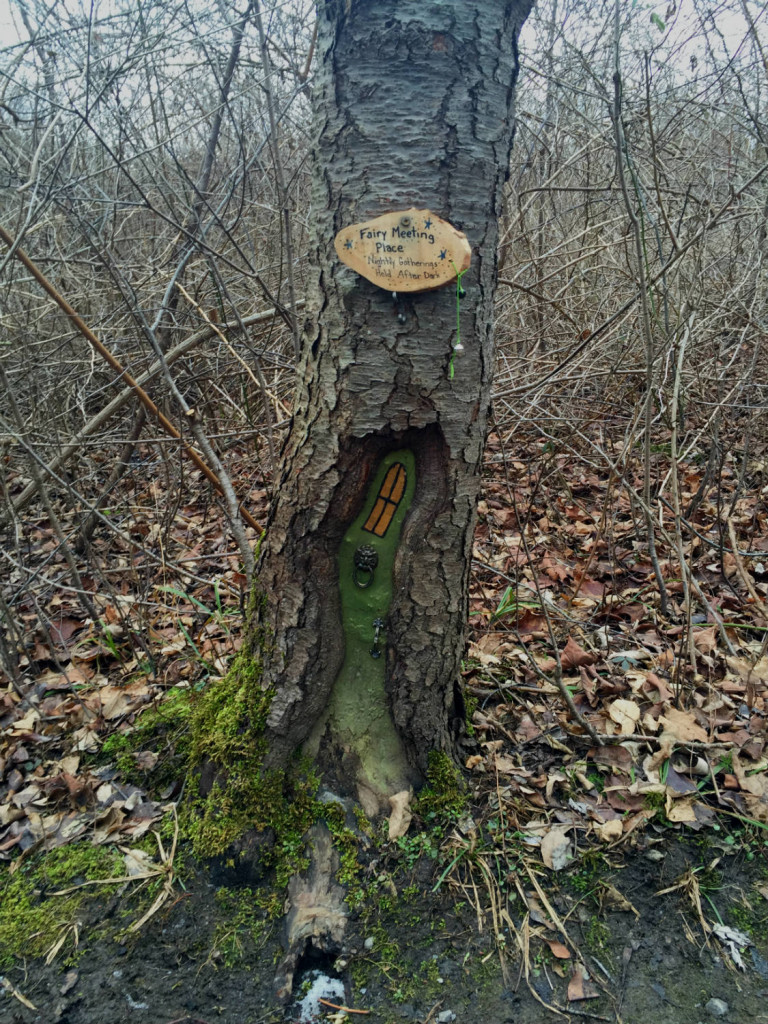The Fairy Houses of Tinker Nature Park