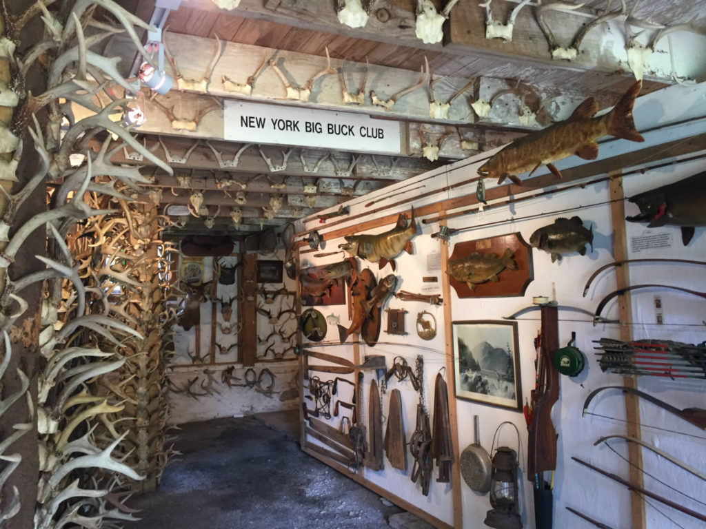 The Antler Shed's Largest Collection in the East