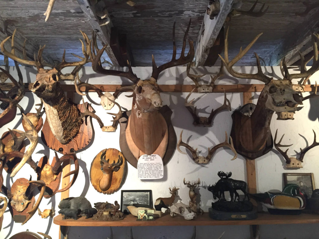 The Antler Shed's Largest Collection in the East