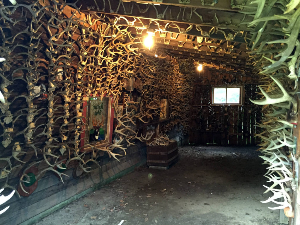 The Antler Shed's Largest Collection in the East
