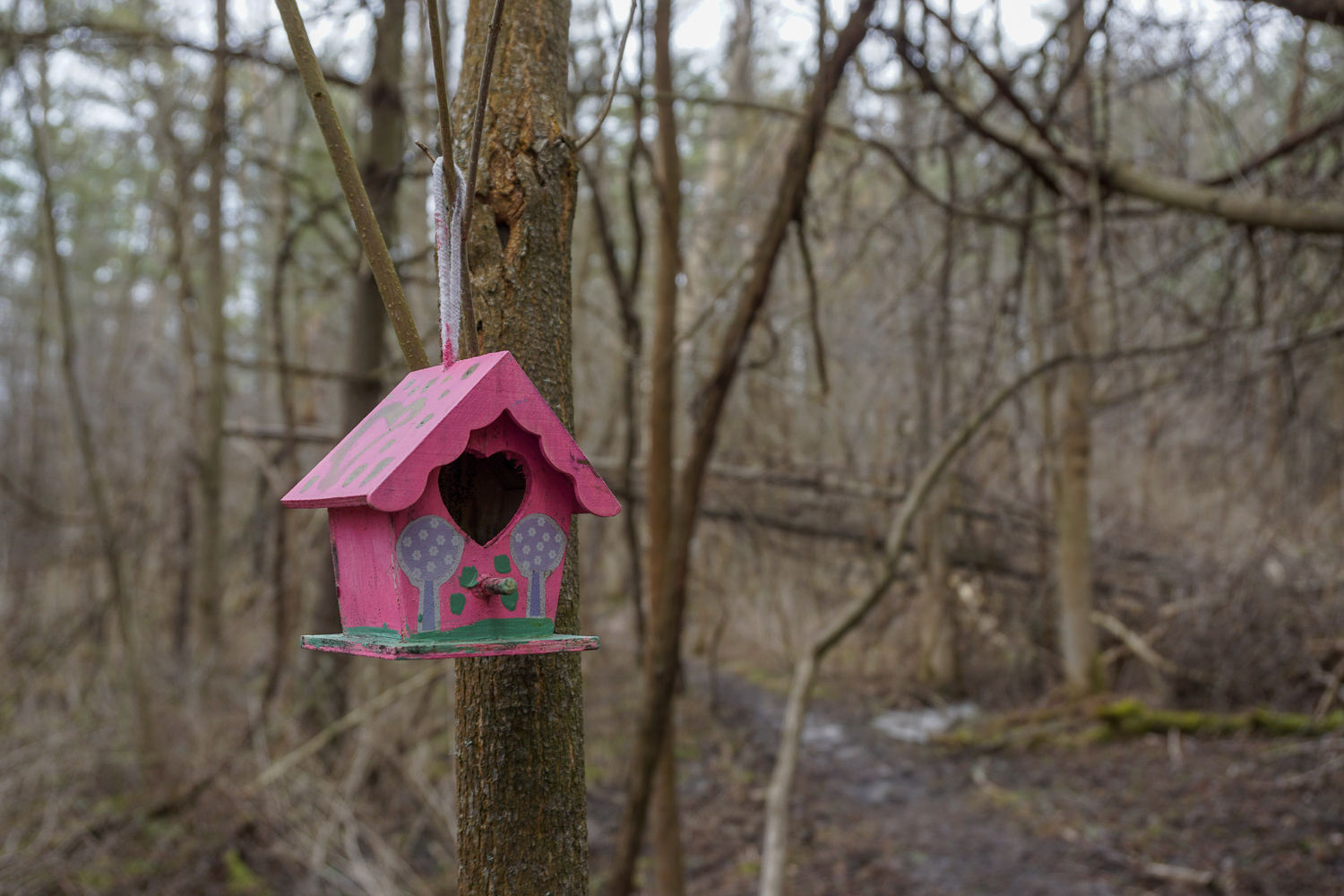 The Other Fairy Trail in Rochester Exploring Upstate
