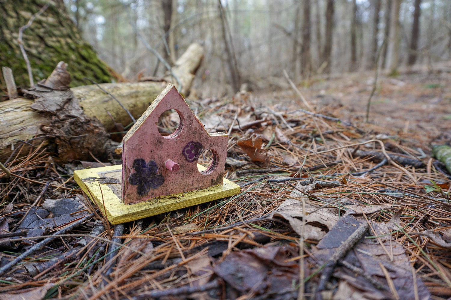 The Other Fairy Trail in Rochester Exploring Upstate