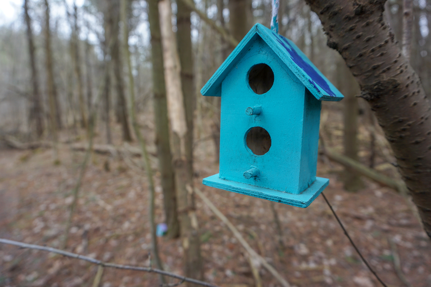 The Other Fairy Trail in Rochester Exploring Upstate