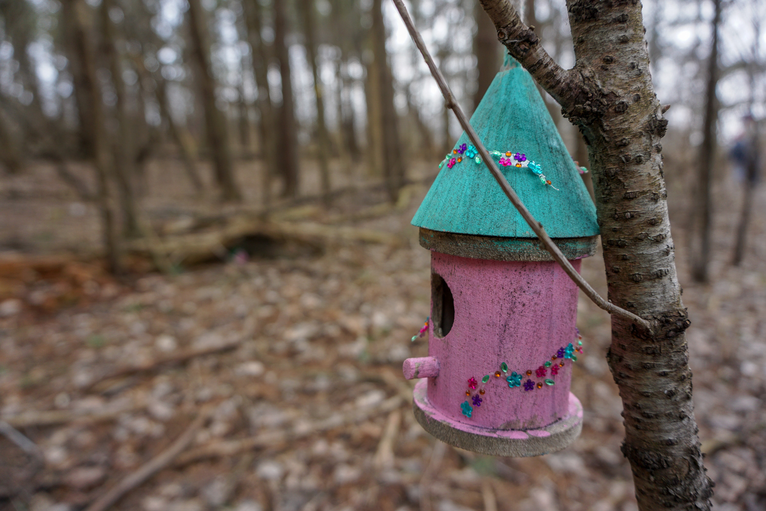 The Other Fairy Trail in Rochester Exploring Upstate