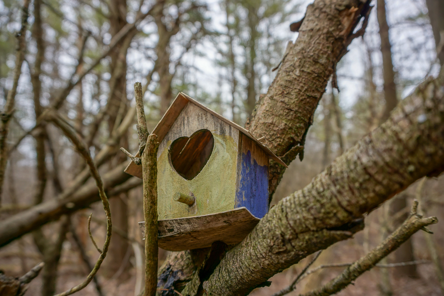 The Other Fairy Trail in Rochester Exploring Upstate