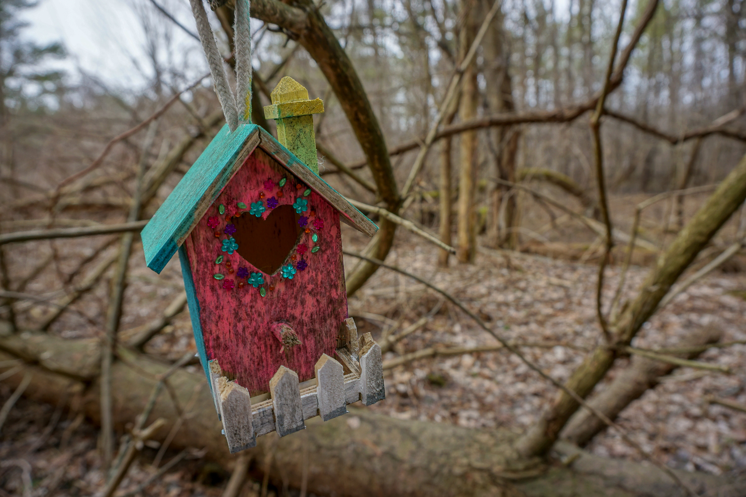 The Other Fairy Trail in Rochester Exploring Upstate