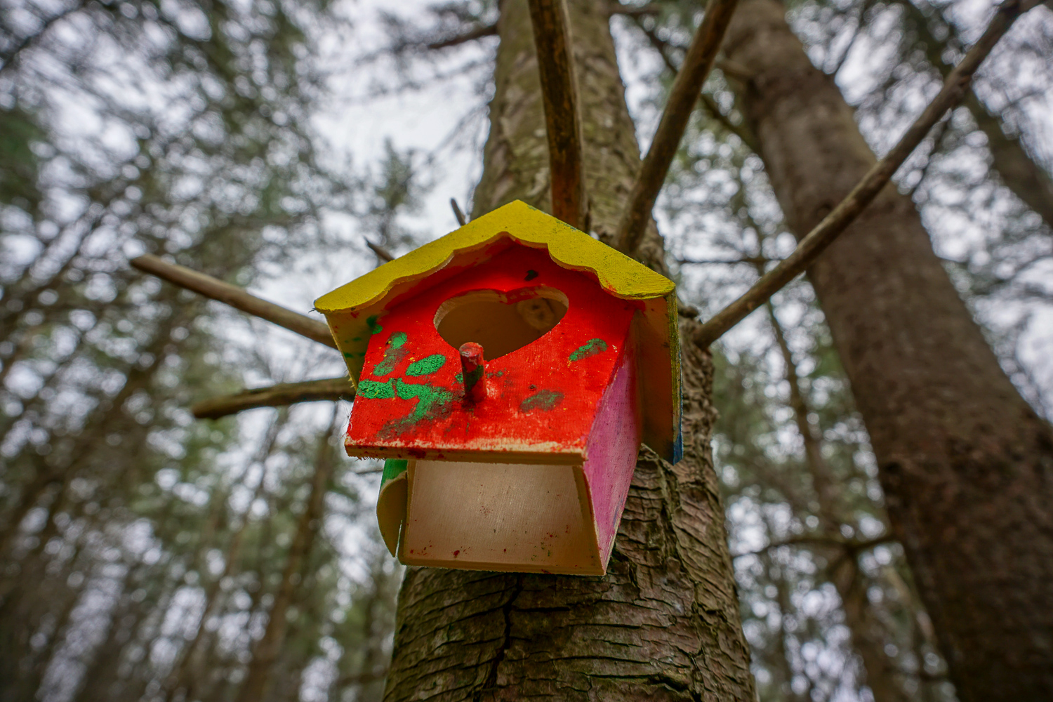 The Other Fairy Trail in Rochester Exploring Upstate
