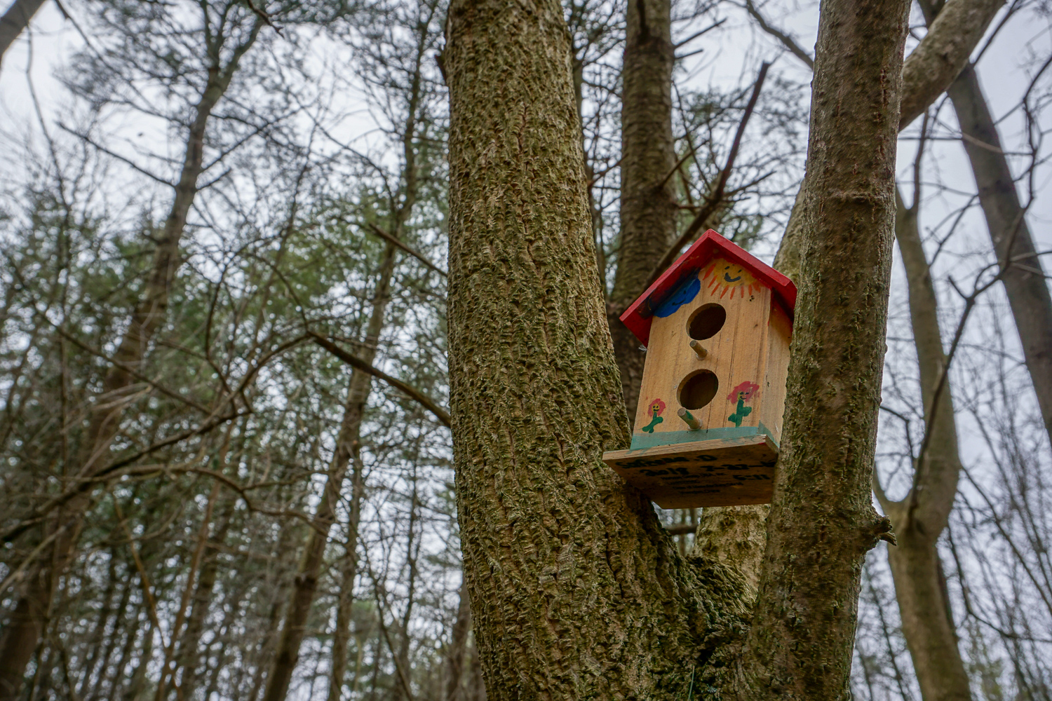 The Other Fairy Trail in Rochester Exploring Upstate