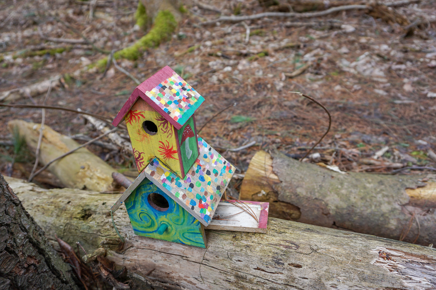 The Other Fairy Trail in Rochester Exploring Upstate