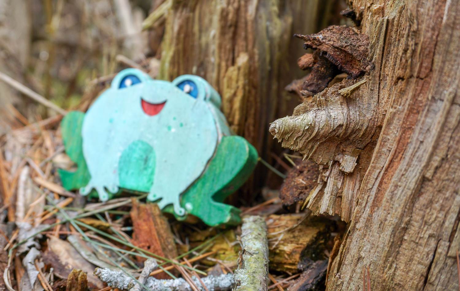 The Other Fairy Trail in Rochester Exploring Upstate