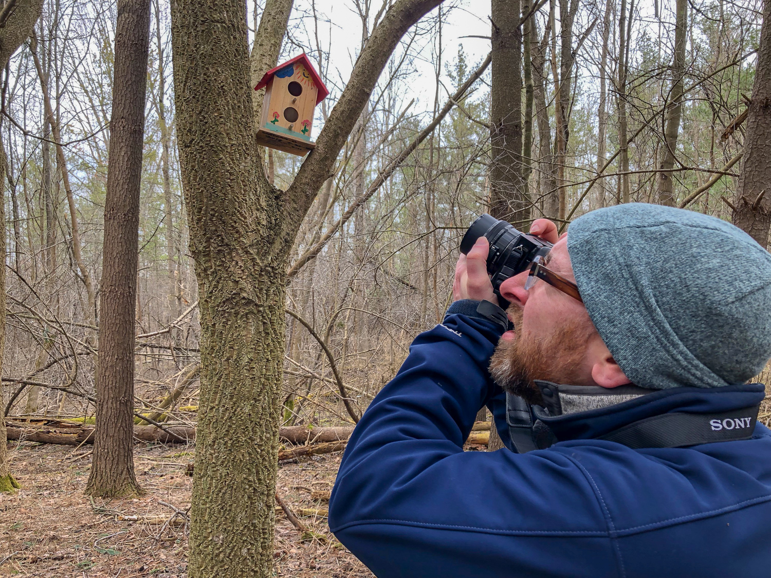 The Other Fairy Trail in Rochester Exploring Upstate