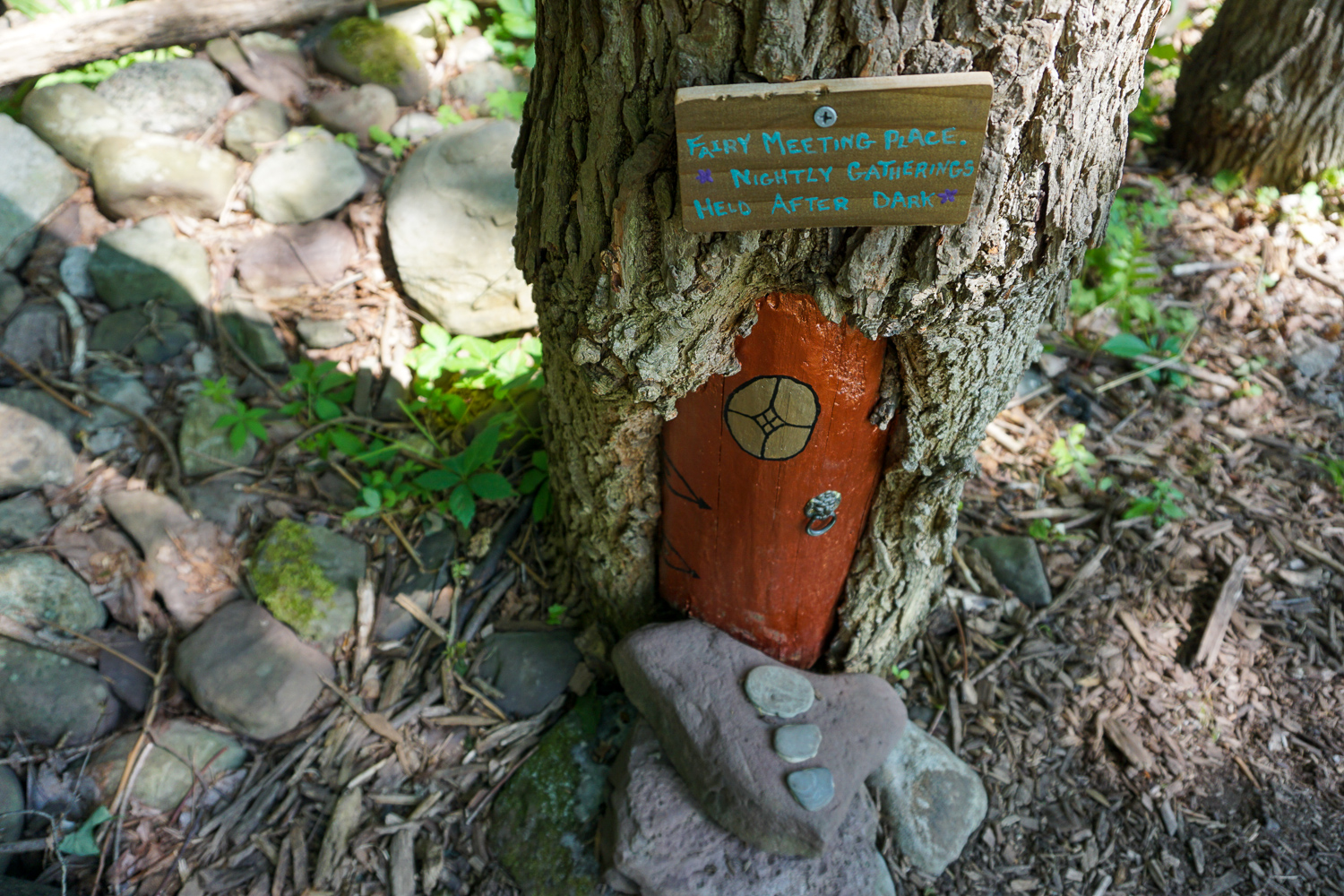 Birdsong Fairy Trail in Mendon Ponds Park Near Rochester Exploring