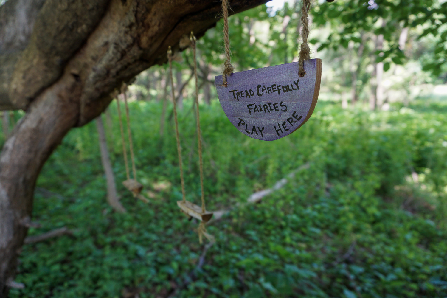 Birdsong Fairy Trail in Mendon Ponds Park Near Rochester Exploring