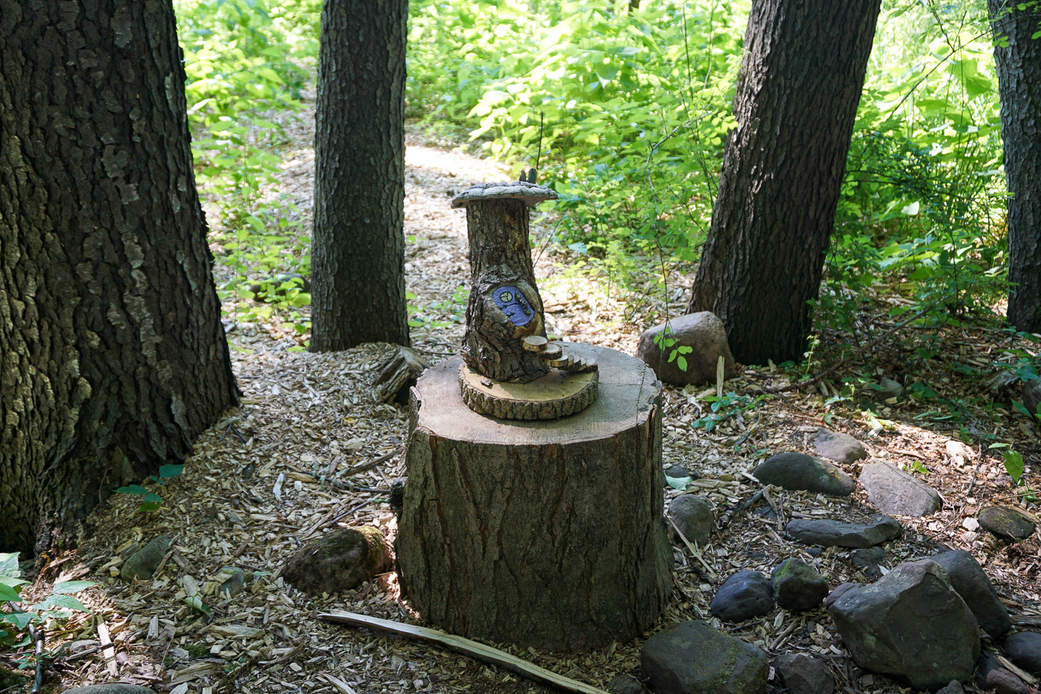 Birdsong Fairy Trail in Mendon Ponds Park Near Rochester Exploring