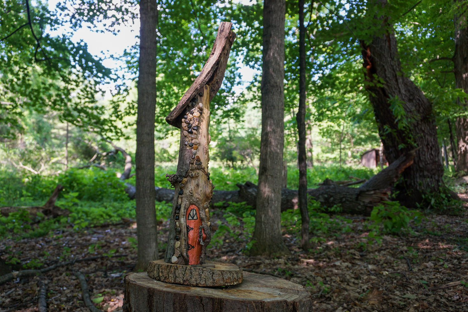 Birdsong Fairy Trail in Mendon Ponds Park Near Rochester Exploring