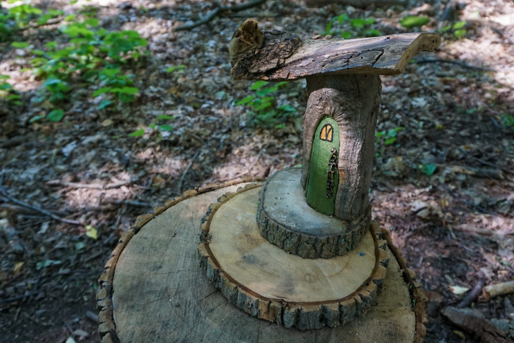 Birdsong Fairy Trail in Mendon Ponds Park Near Rochester Exploring
