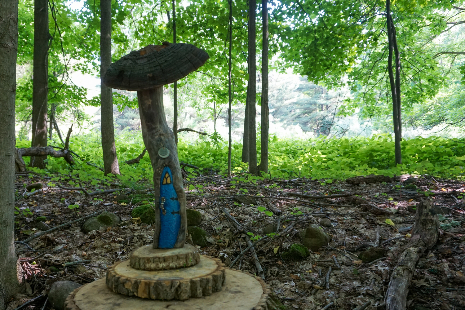 Birdsong Fairy Trail in Mendon Ponds Park Near Rochester Exploring