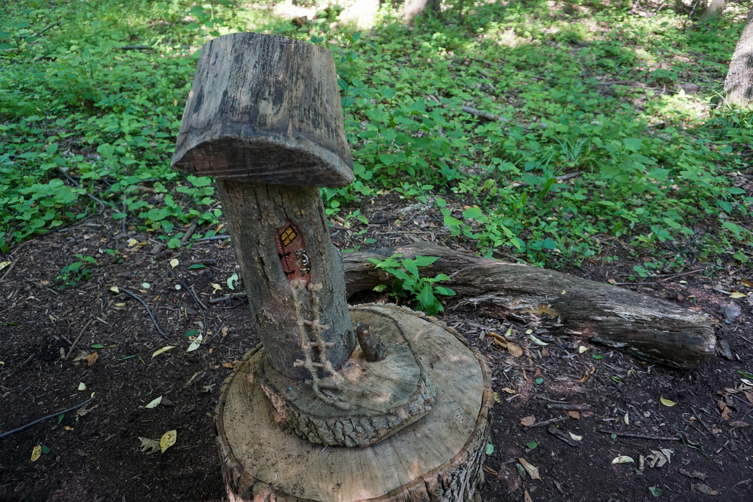 Birdsong Fairy Trail in Mendon Ponds Park Near Rochester Exploring