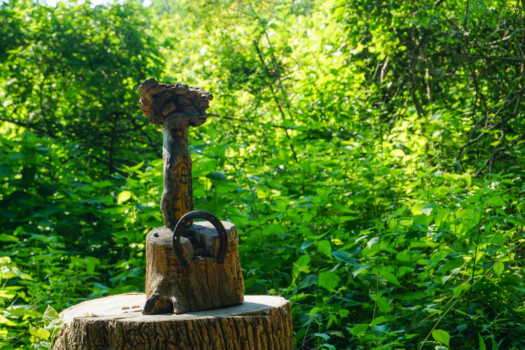 Birdsong Fairy Trail in Mendon Ponds Park Near Rochester Exploring