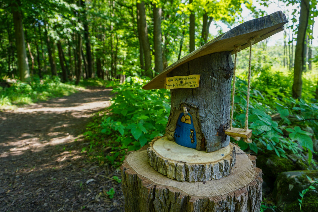 Birdsong Fairy Trail in Mendon Ponds Park Near Rochester Exploring