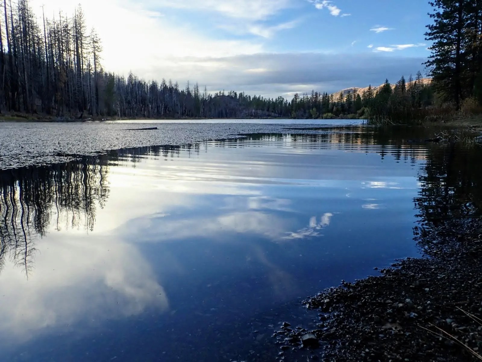 Mendocino National Forest Bikepacking Overnight Letts Lake Loop