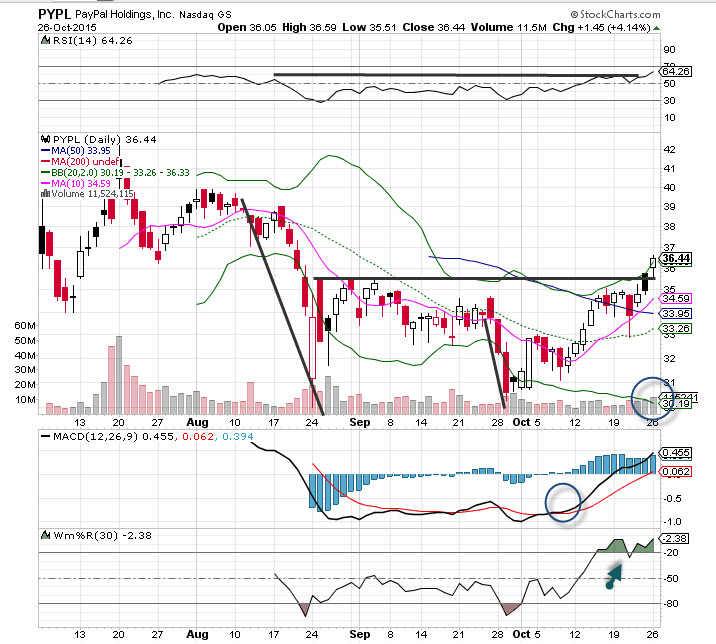 Paypal stock xolersand