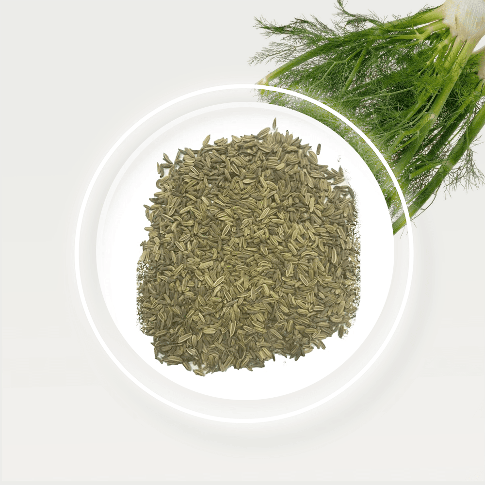 Fennel Seeds ExpoMasr