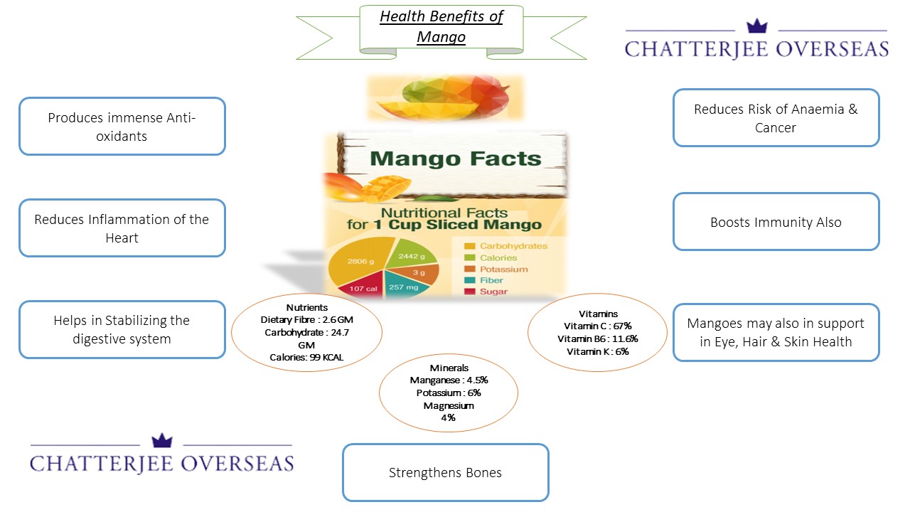 How to Import Mangoes from India ? Exim SEO EIG