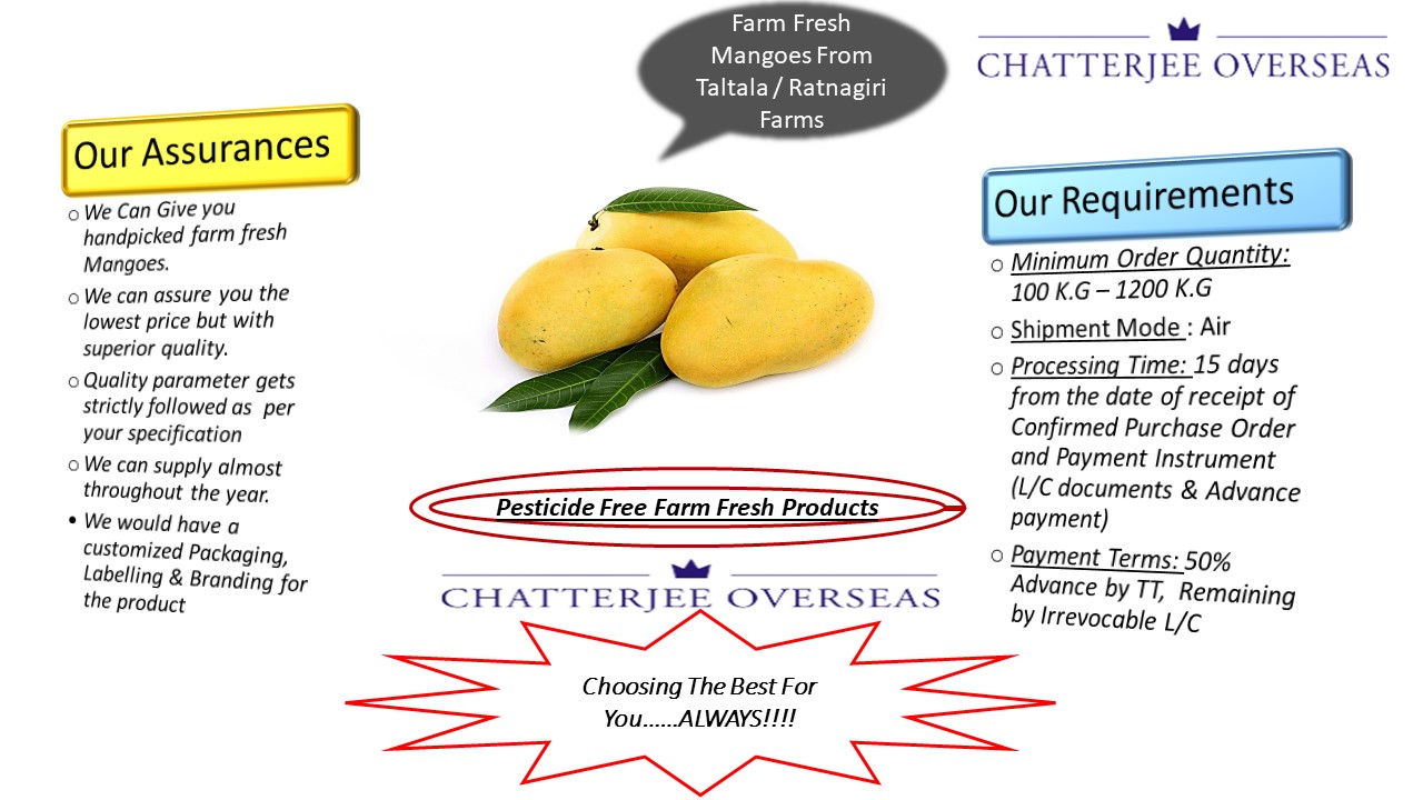 How to Import Mangoes from India ? Exim SEO EIG
