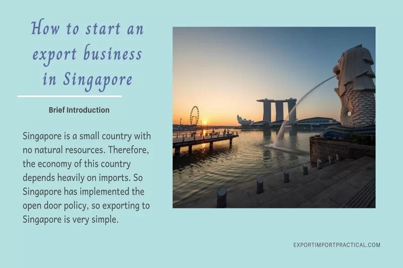 How to start exportimport business in Singapore Learn how to Start