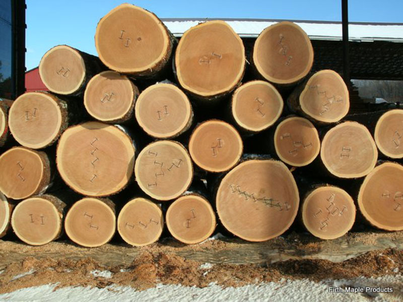 American Black Cherry Firth Hardwood Export Logs