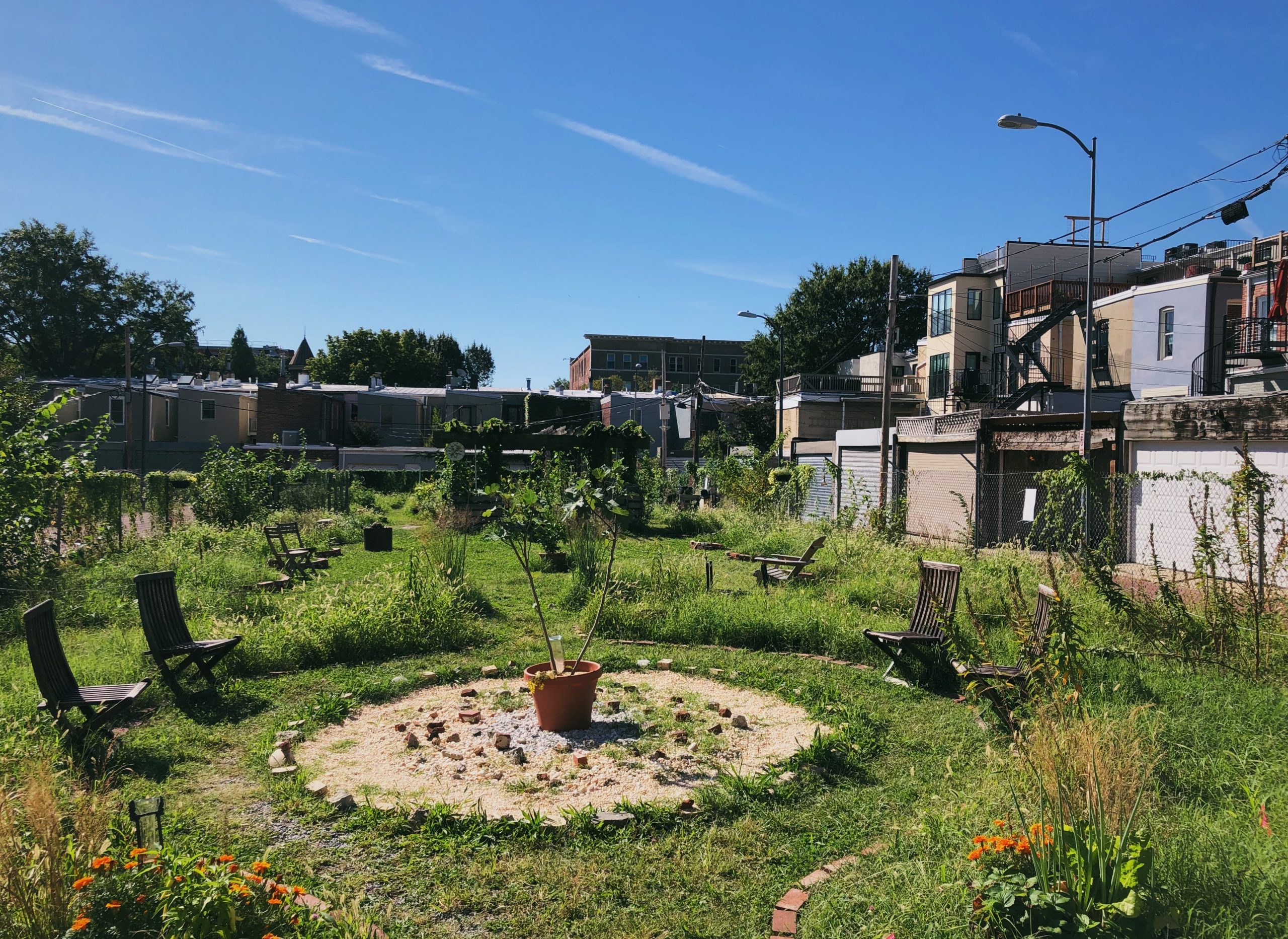 Framing Flora Garden Photography at Temperance Alley Exposed DC