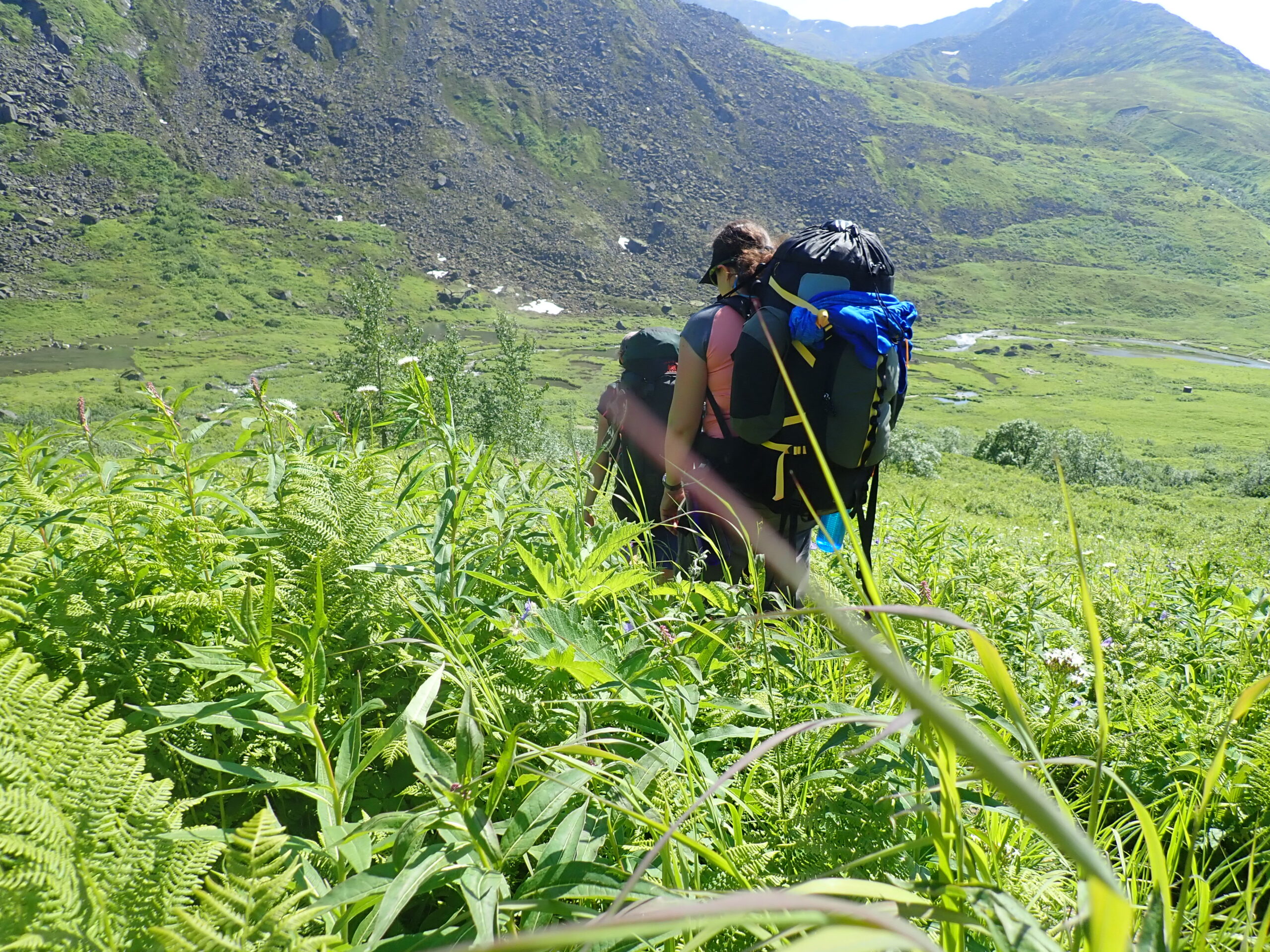 A Guide to Packing your Backpack Exposure Alaska