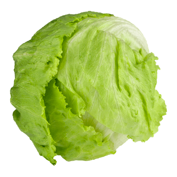 Iceberg Lettuce Stong's Market