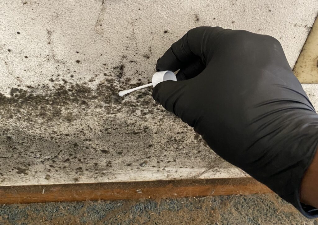 Mold Testing Express Air Testing