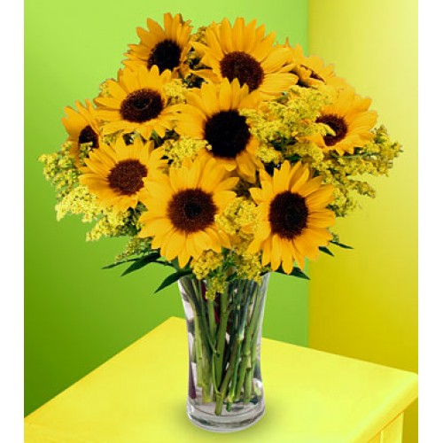 Sunflowers 12 Stems in Vase