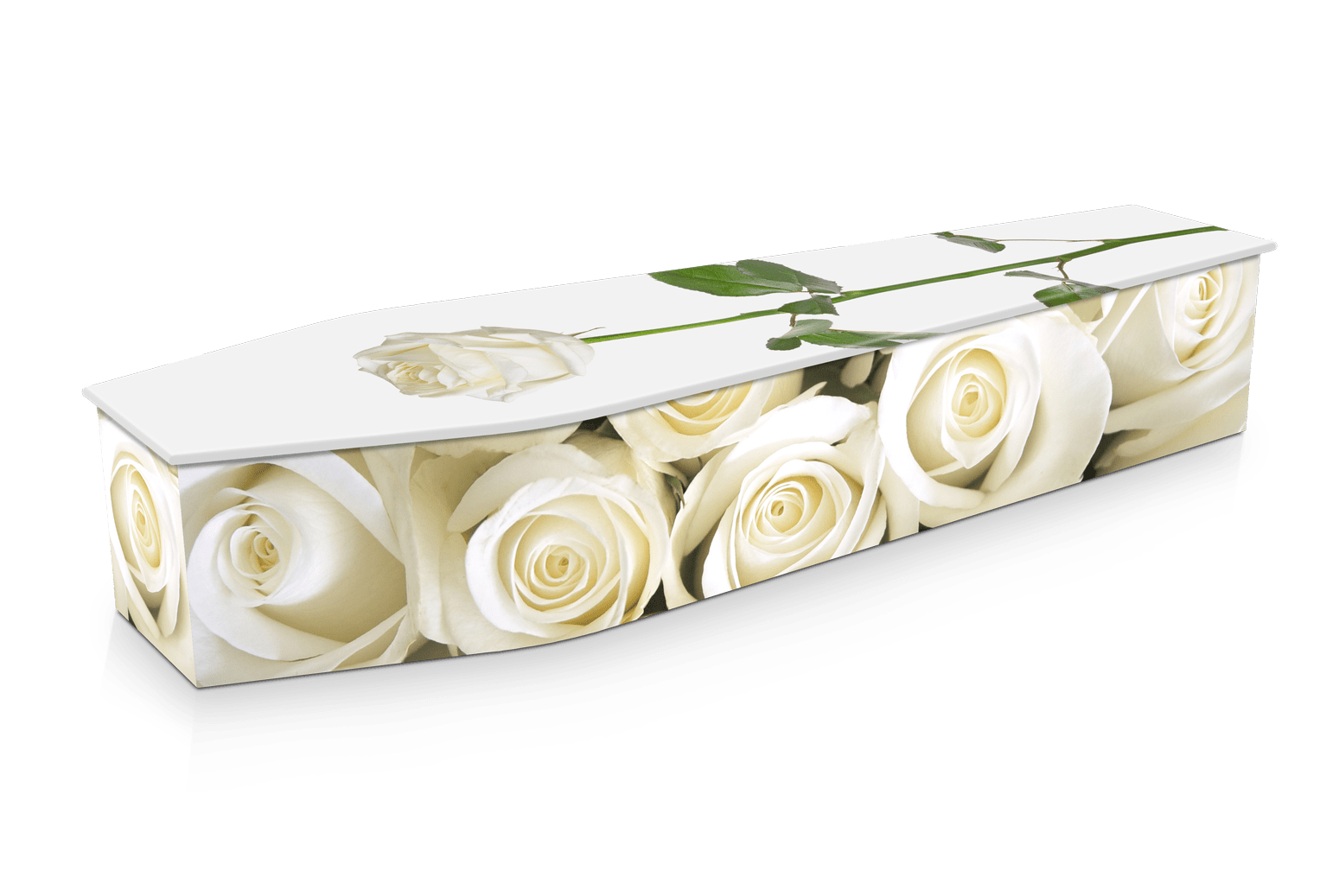 White Roses Custom Coffin Design Expression Coffins