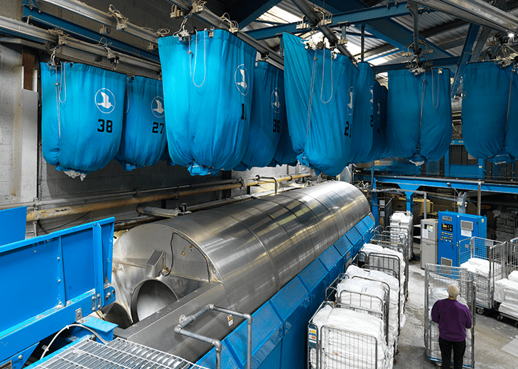 Who We Are Express Linen