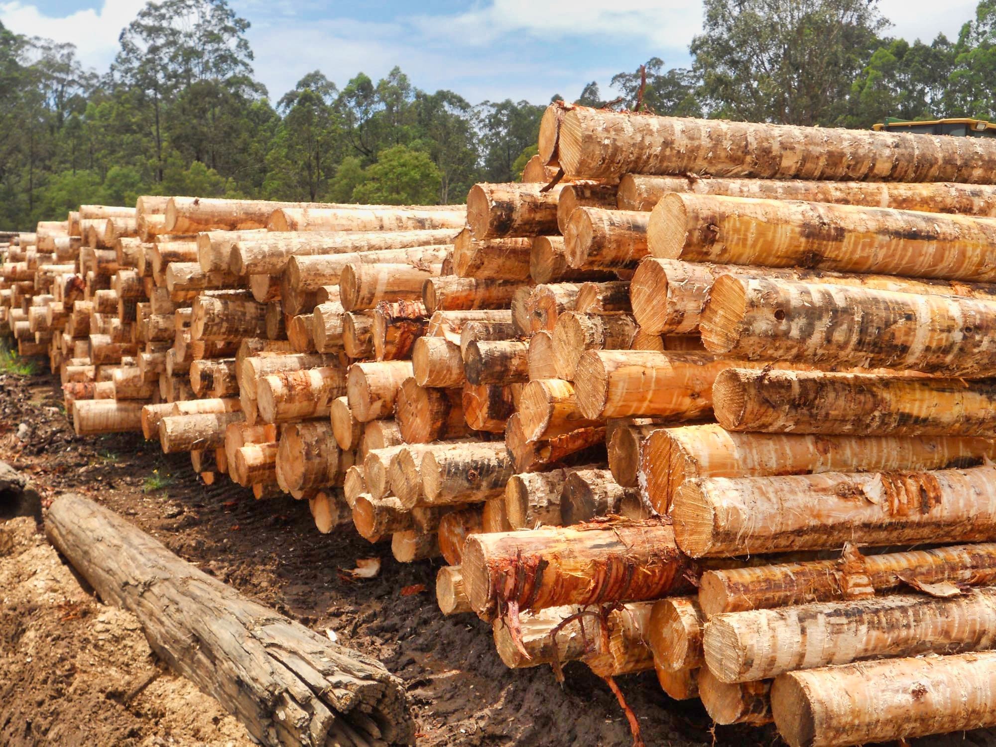 Sawmill Express Pallets & Crates Brisbane