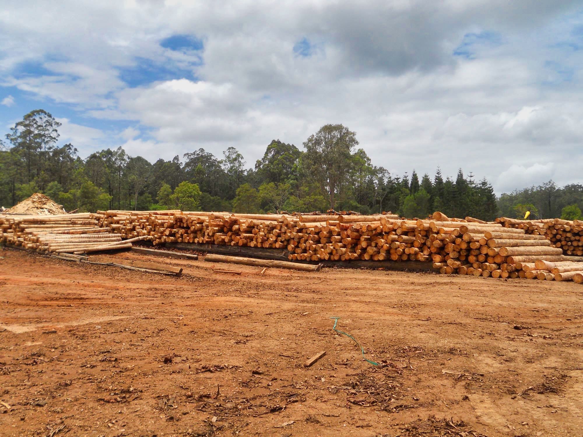 Sawmill Express Pallets & Crates Brisbane