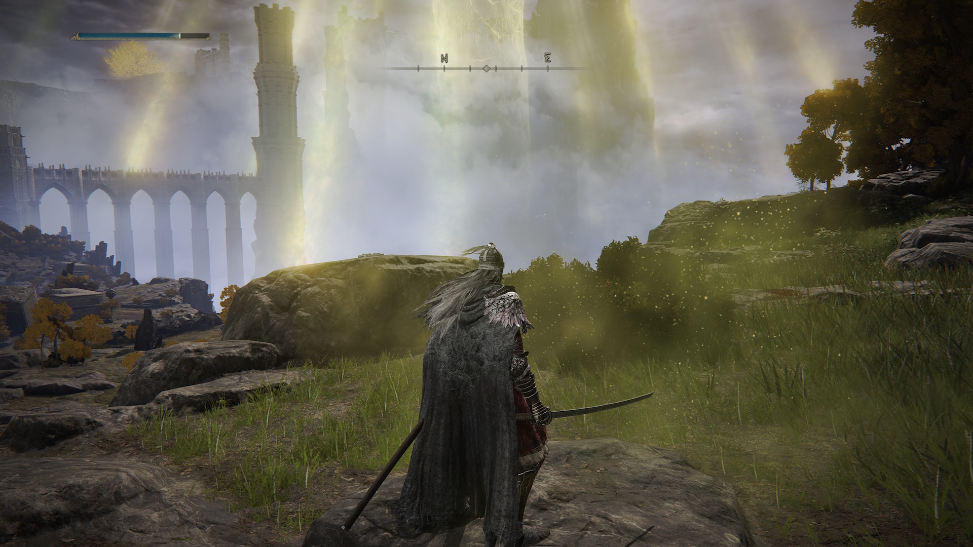 The BEST Elden Ring Poison Build