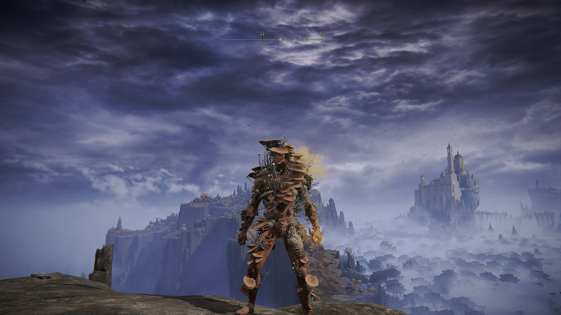 The BEST Elden Ring Poison Build