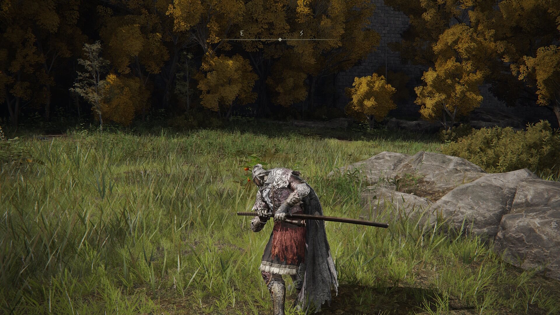 The BEST Elden Ring Poison Build