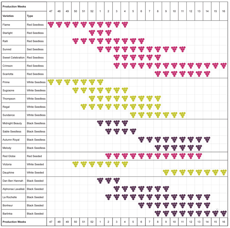 Our Production Calendar EXSA (PTY) LTD