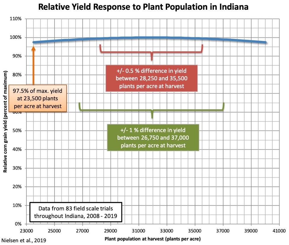 Corn Replant Considerations Purdue University Pest&Crop newsletter