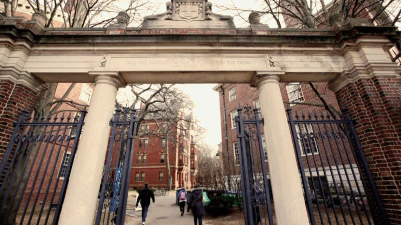 Harvard Courses Fall 2022 83-Year-Old Great-Grandmother On Harvard Course: 'I Almost Feel Guilty That I'm Having Such A Good Time' | Harvard Extension School