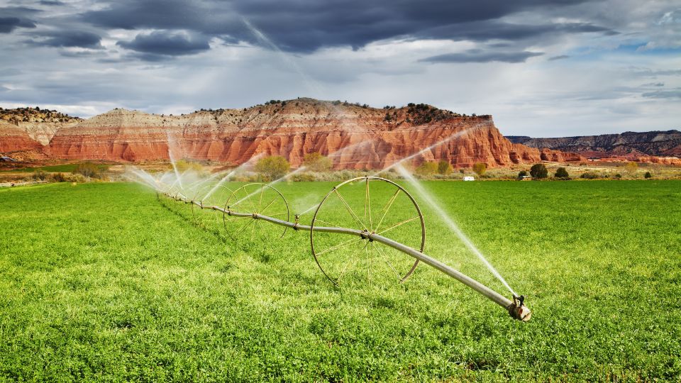 Agricultural Irrigated Land and Irrigation Water Use in Utah USU